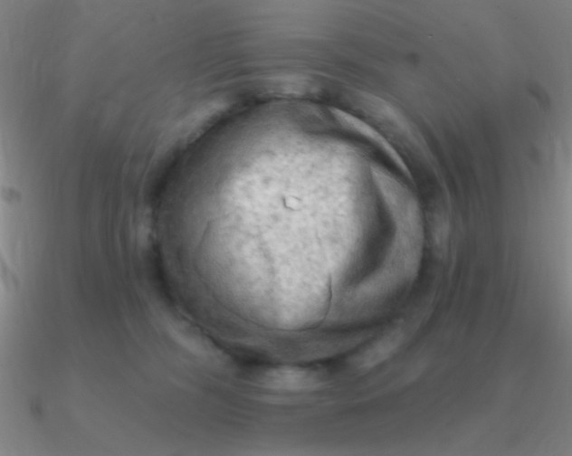 X0000090630326200708071251