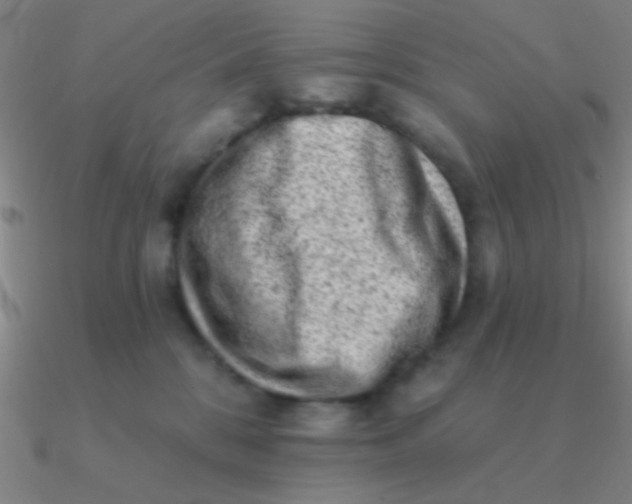 X0000090630328200708071251