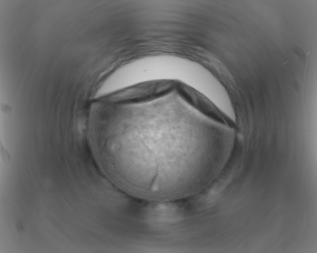 X0000090630329200708071251