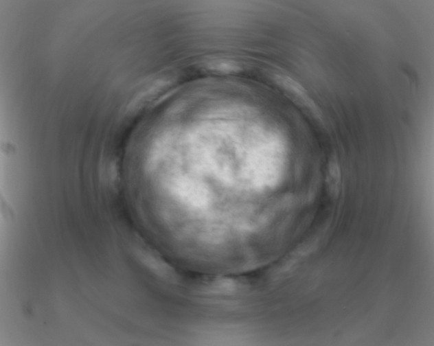 X0000090630330200708071251