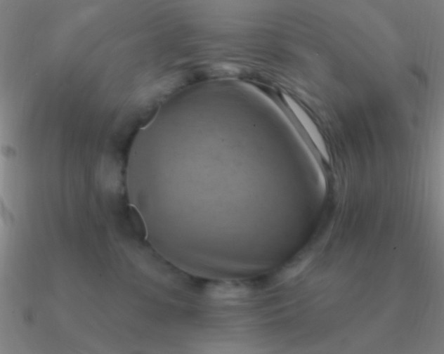 X0000090630331200708071251