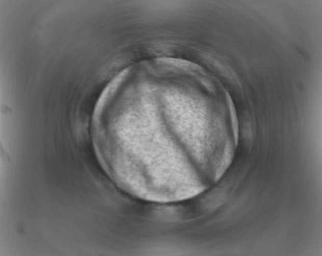 X0000090630332200708071251