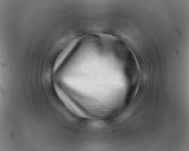 X0000090630334200708071251