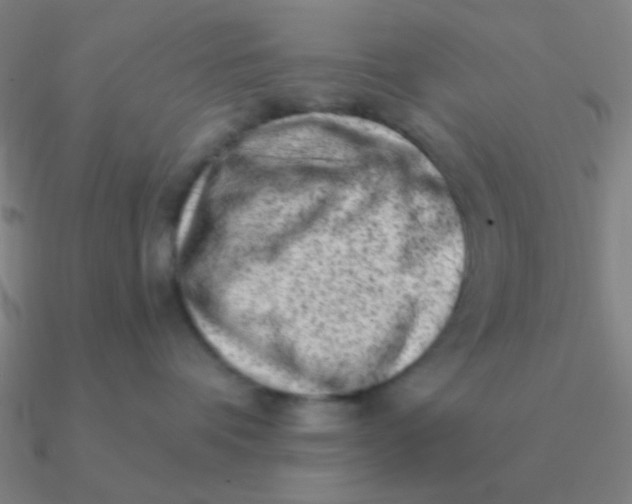 X0000090630336200708071251