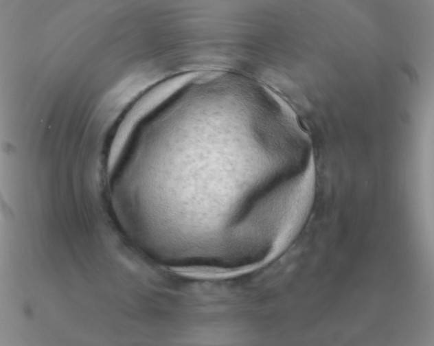 X0000090630338200708071250