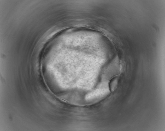 X0000090630339200708071250