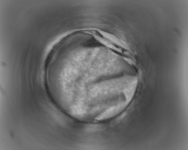 X0000090630342200708071250