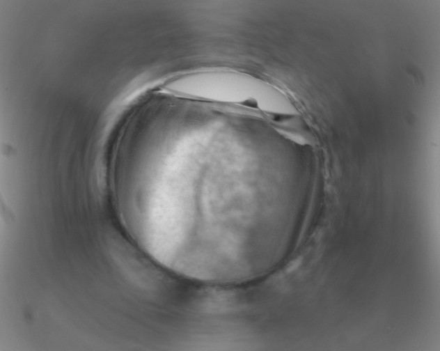 X0000090630343200708071250