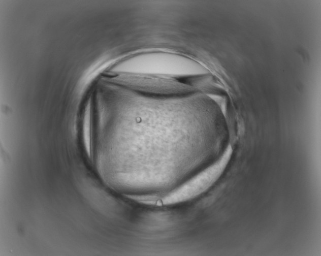 X0000090630344200708071250