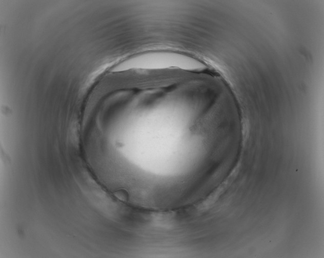 X0000090630345200708071250