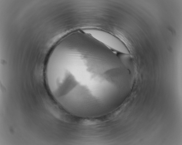 X0000090630346200708071250