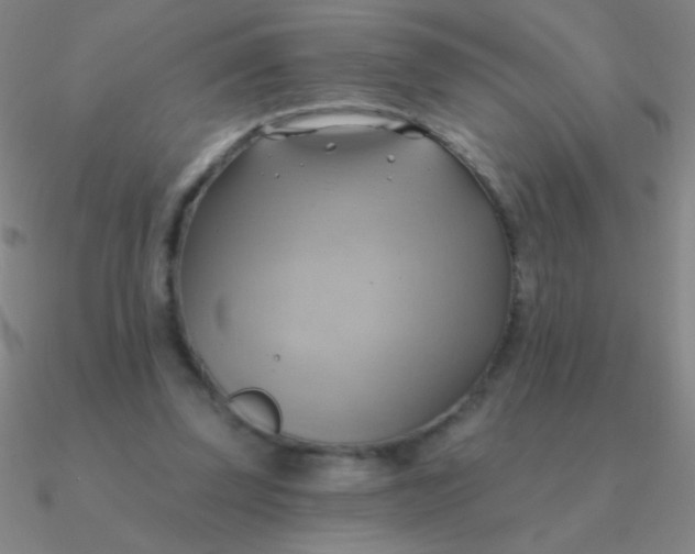 X0000090630347200708071250