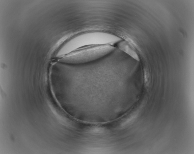 X0000090630348200708071250