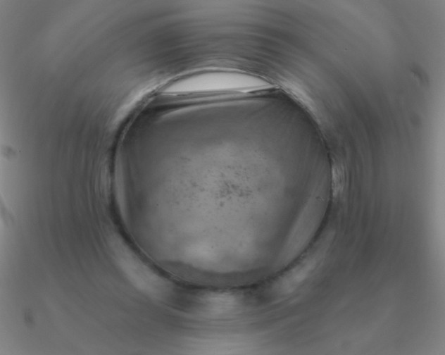 X0000090630349200708071250