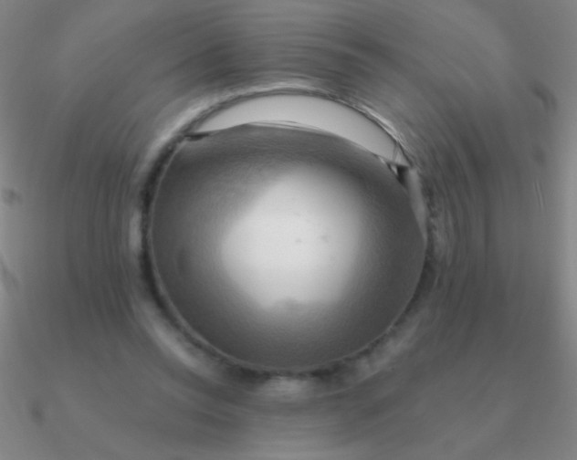 X0000090630350200708071250