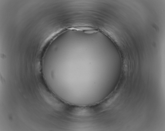 X0000090630351200708071250