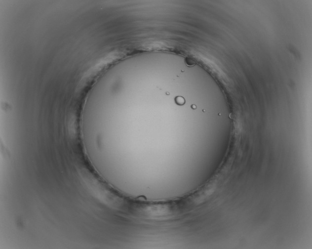 X0000090630353200708071250