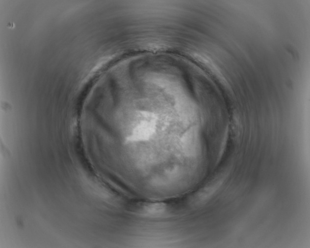 X0000090630355200708071250