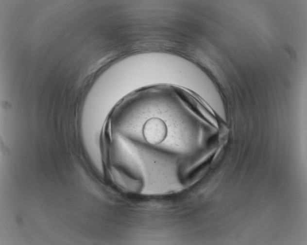 X0000090630356200708071250