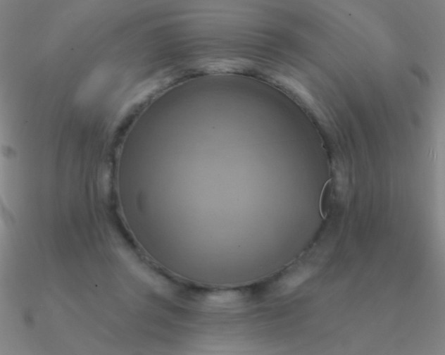 X0000090630357200708071250