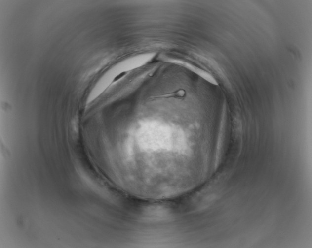 X0000090630358200708071250