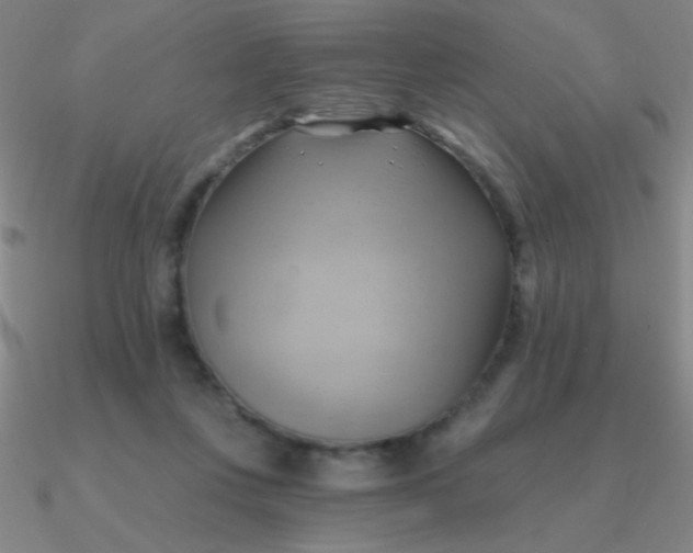 X0000090630359200708071250