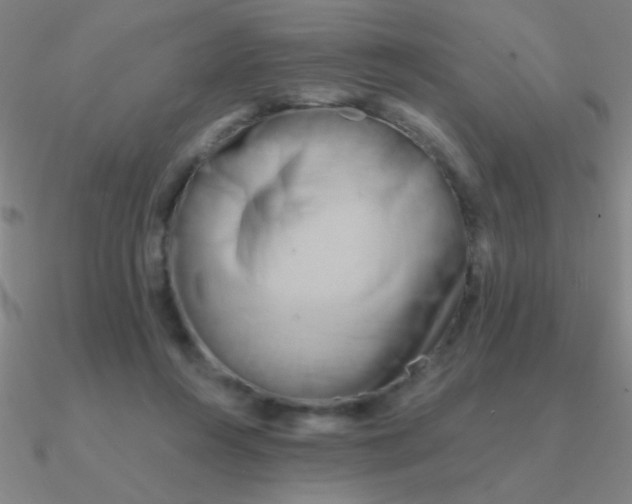 X0000090630360200708071250