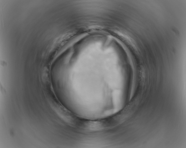 X0000090630361200708071250