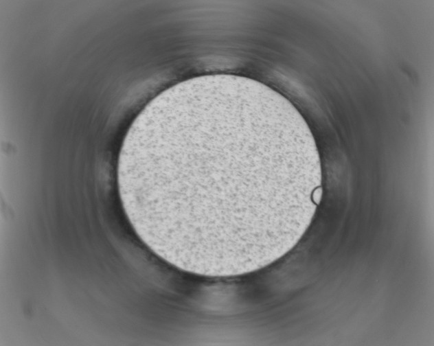 X0000090630362200708071250