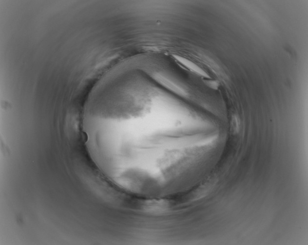 X0000090630363200708071250