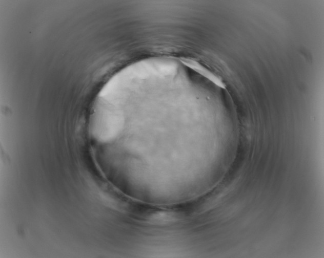 X0000090630364200708071250