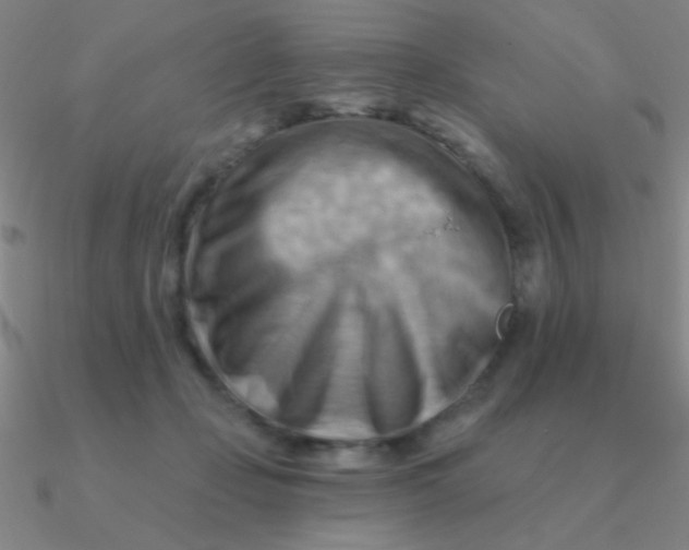 X0000090630365200708071250