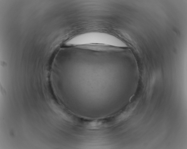 X0000090630366200708071250