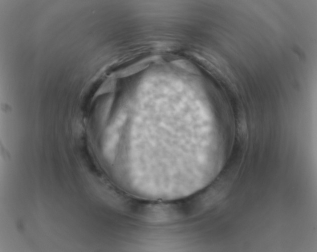 X0000090630367200708071251