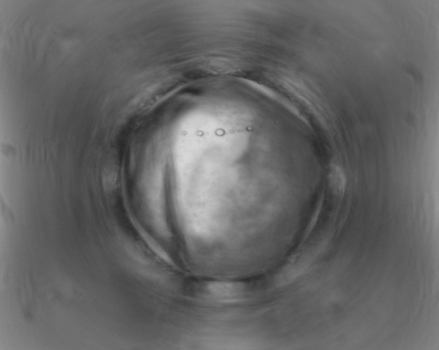 X0000090630371200708071251