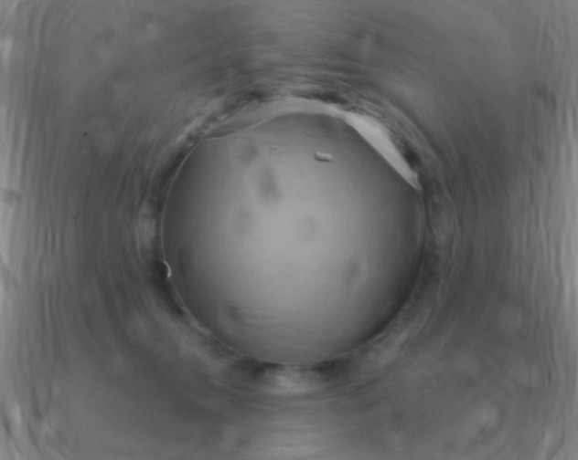 X0000090630372200708071251