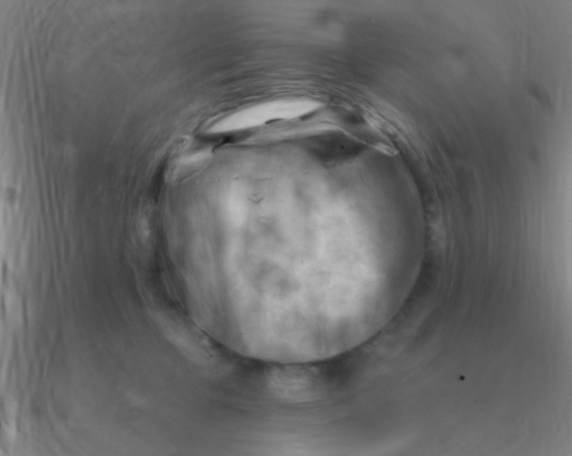 X0000090630373200708071251