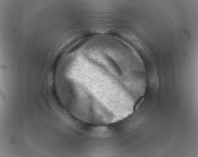 X0000090630374200708071251