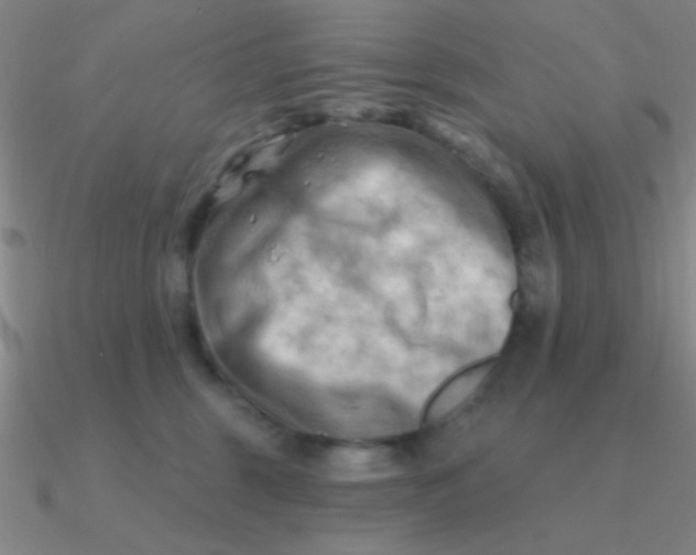 X0000090630375200708071251