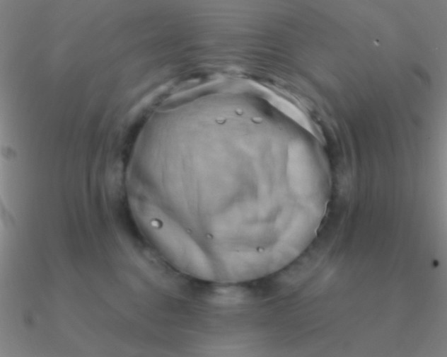 X0000090630376200708071251