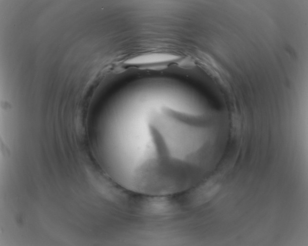 X0000090630377200708071251