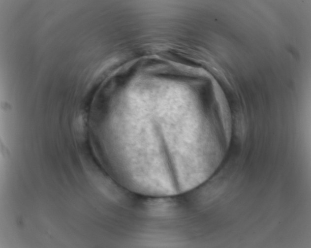 X0000090630378200708071251