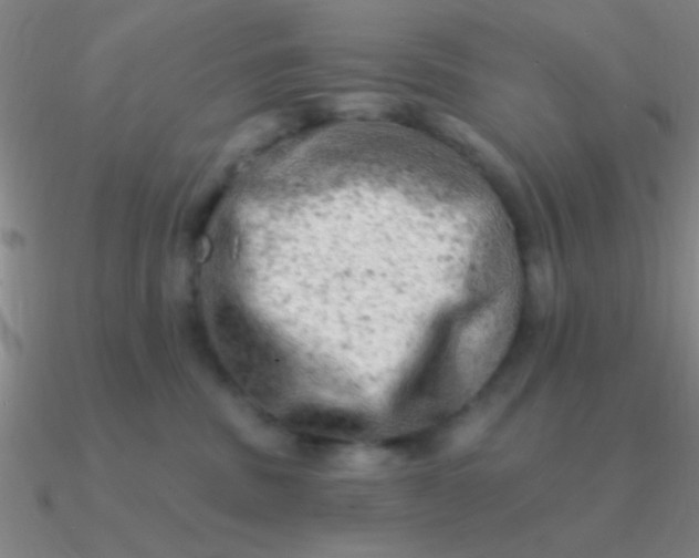 X0000090630379200708071251