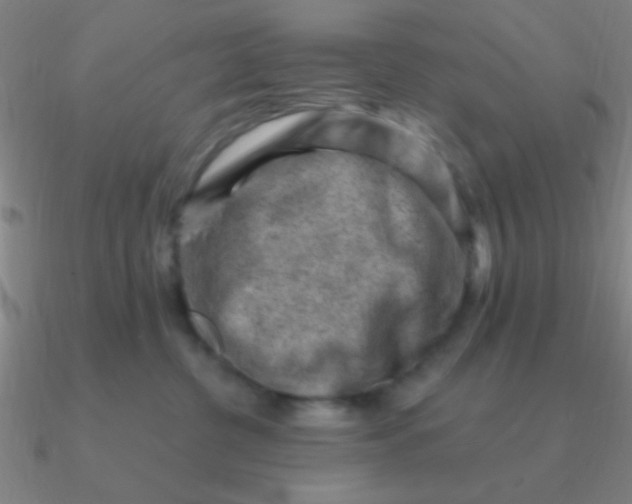 X0000090630380200708071251