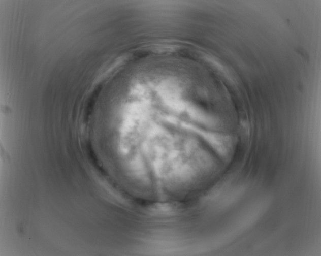 X0000090630381200708071251