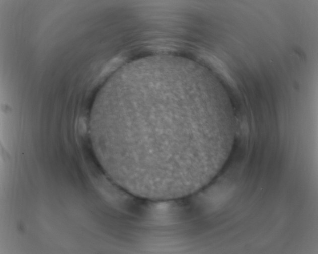 X0000090630382200708071251