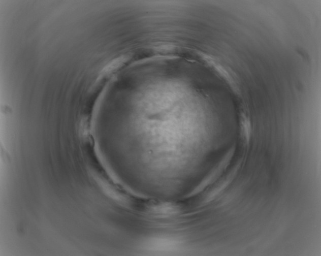 X0000090630383200708071251