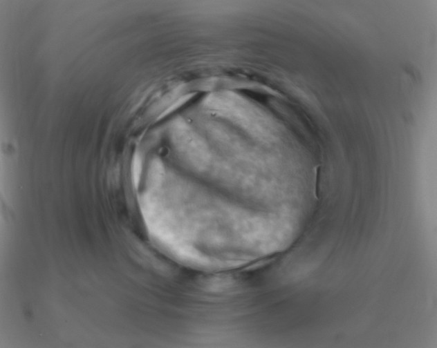 X0000090630384200708071251