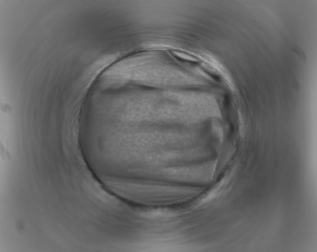 X0000090630385200708071250