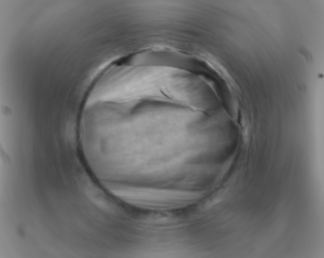 X0000090630386200708071250